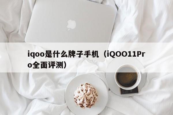 iqoo是什么牌子手机（iQOO11Pro全面评测）