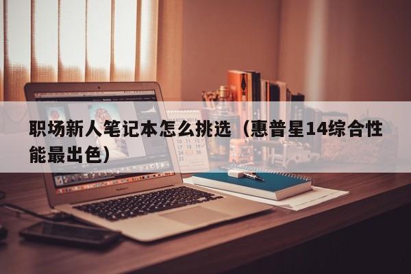 永安职场新人笔记本怎么挑选（惠普星14综合性能最出色）